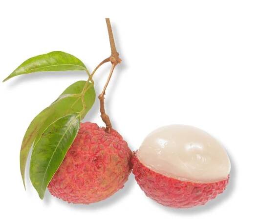 Lychee