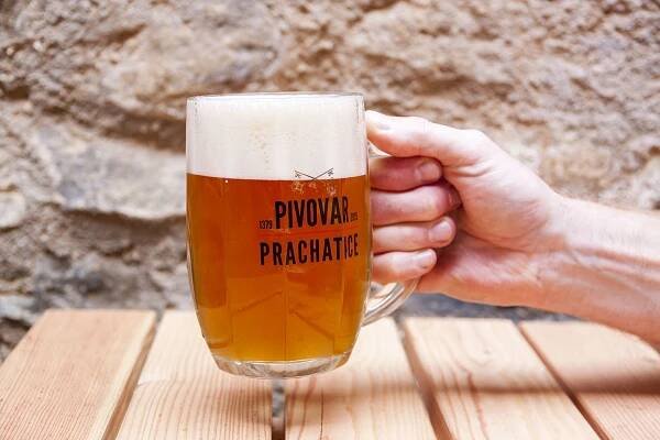 Galerie | Jídla - Pivovar Prachatice