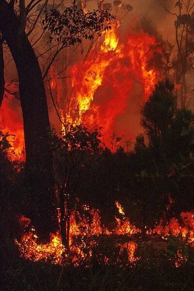 Soubor:CSIRO ScienceImage 10413 Project Vesta fire.jpg – Wikipedie