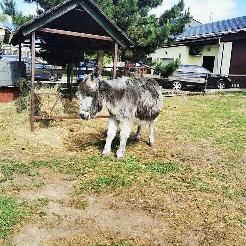 Kozí farma Pěnčín - předškoláci 67