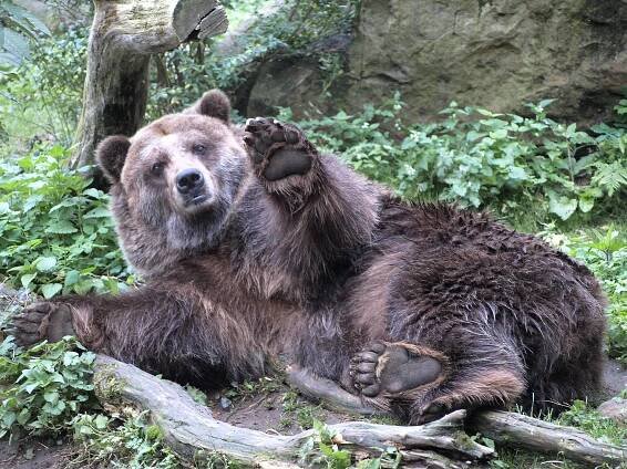 SOUTĚŽ SE ZOO DĚČÍN
