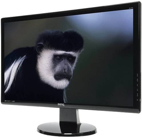 24" BenQ GL2450