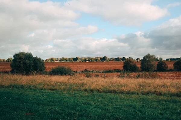 countryside