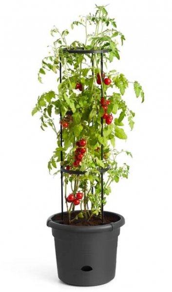 Obal Green Basics Tomato Pot - living black 33 cm