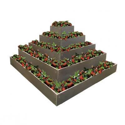 TRANSFORM Pyramida na jahody 2x2x1 m, S (cena za 1 ks)