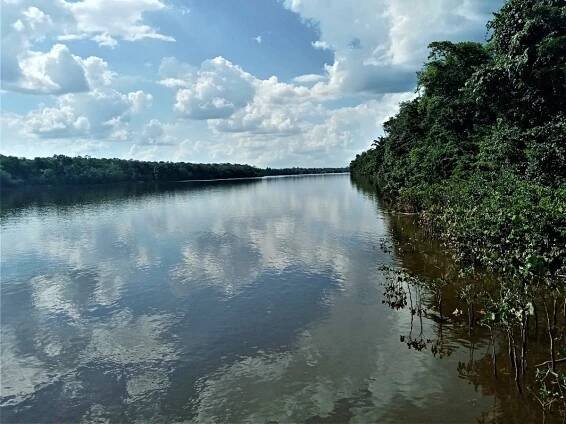 Surinam – málo známá země na okraji Amazonie