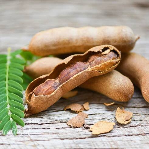 tamarind in pods.