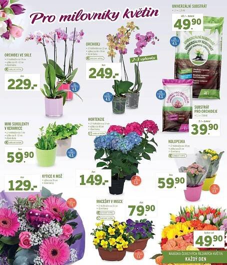 Akce lesk Lidl strana 15