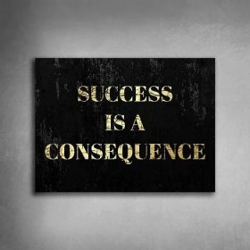 SUCCESS_IS_A_COSEQUENCE2