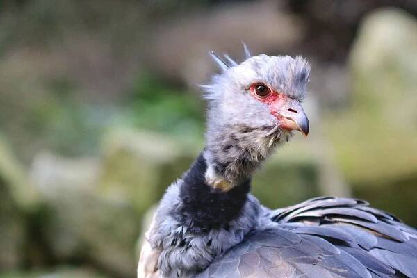 Zoo má za sebou mimořádnou sezónu. Lákalo slůně i rejnoci