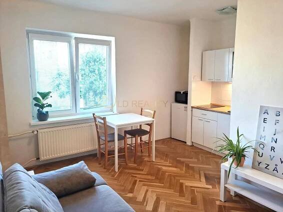 Pronájem bytu 1+kk s balkonem a šatnou na ulici Opletalova, cena na vyžádání