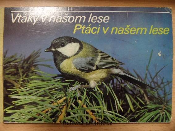 Vtáky v našom lese, Ptáci v našem lese, 1988