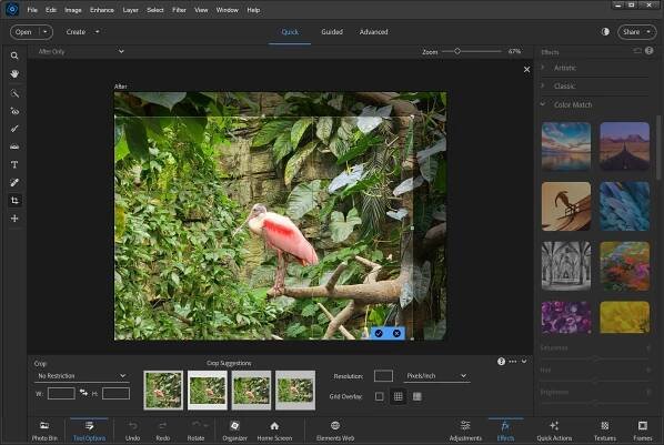 Adobe Photoshop Elements