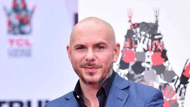 Pitbull