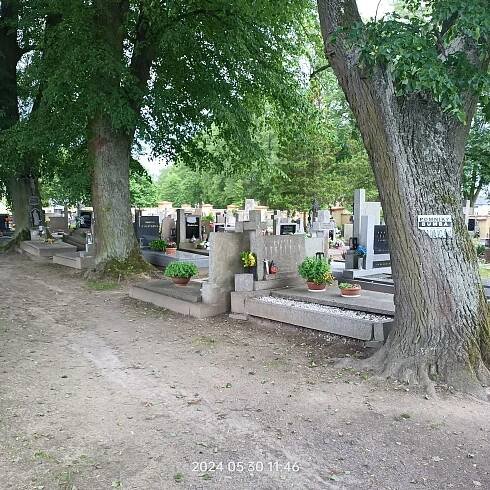 Fotografie - 30.05.2024
