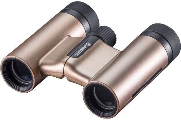 Vanguard Vesta 8x21