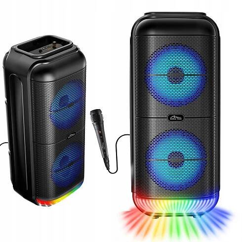 Bluetooth reproduktor Přenosný reproduktor SAL BT WORK černý 50 W