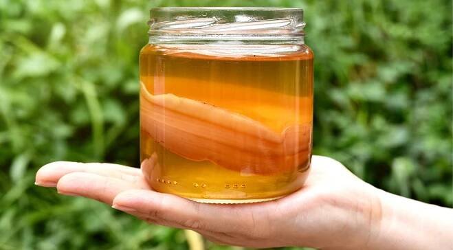 Kombucha - elixír svěžesti a zdraví pro tělo i duši