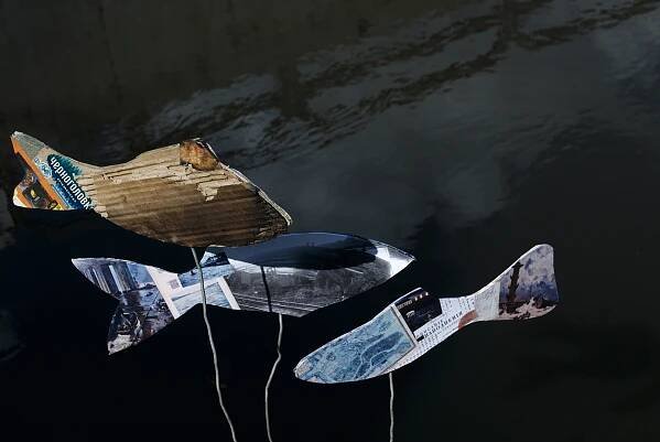 Shadow Fish. Photographer Anna Nazarova