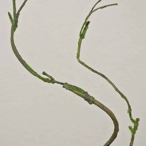 Plastová větev vrby kroucené TONY, zelenohnědá, 75cm