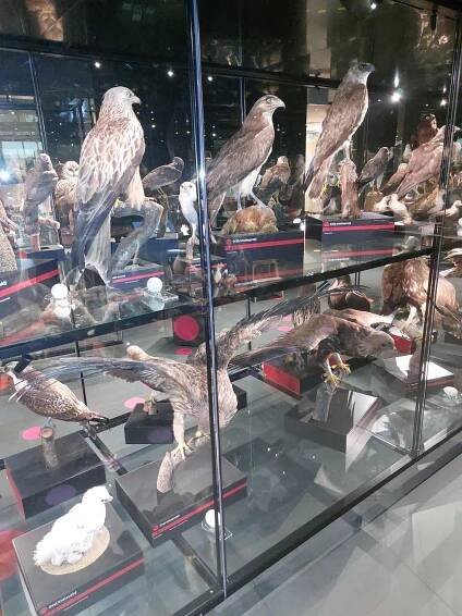 Ornitologická stanice Muzea Komenského (Múzeum) • Mapy.com