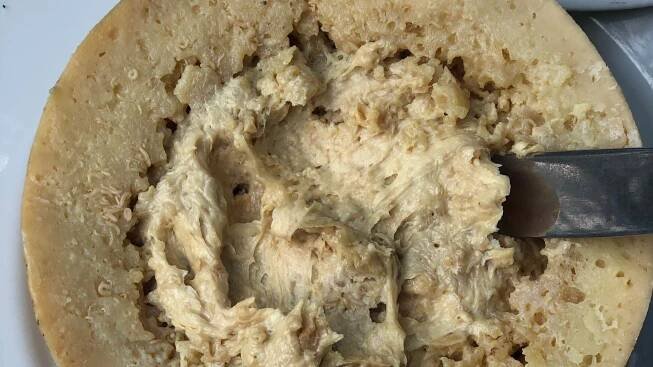 Casu marzu: The world’s ‘most dangerous’ cheese