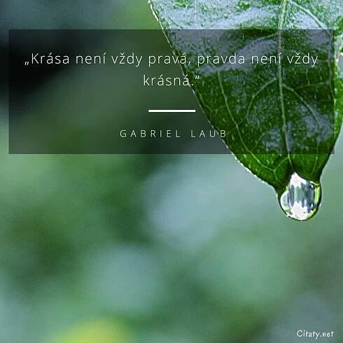 Gabriel Laub citát: „Krása není vždy pravá, pravda není vždy krásná.“