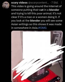 there is a cat blender video going around