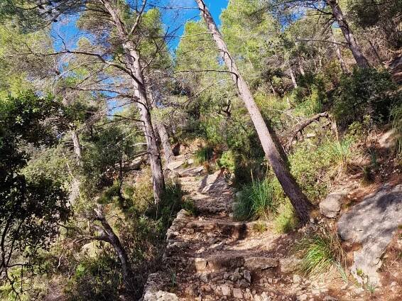Castell d’Alaró Hike: Mallorca’s Legendary Castle Trail