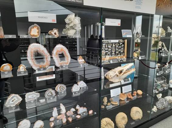 Lepší než Národní muzeum. Návštěvníci obdivují brazilské ametysty i zub mamuta