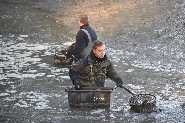 V Dymáku se mrskali vypasení kapři i amuři. Děti obdivovaly sumce albína