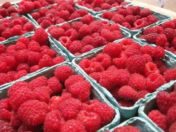 Gallery 2 — Adam's Berry Farm