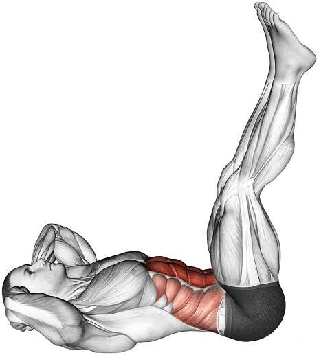 straight leg crunch
