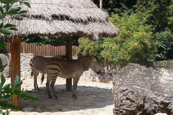 Zoologická záhrada v Bojniciach