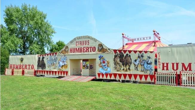 Cirkus Humberto míří do Karviné, největším tahákem bude drezúra lachtanů - Novinky