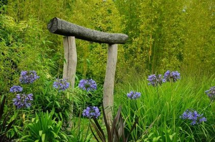 HomeInCube.cz: fotografie Japonská zahrada aneb cit a harmonie v jednom