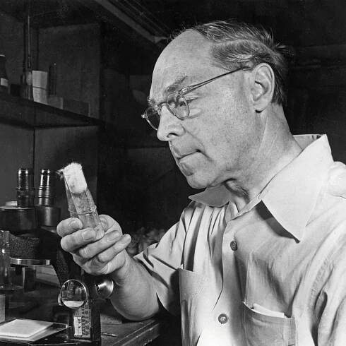 Hermann Joseph Muller: *21.12.1890 – †5.4.1967, americký genetik, laureát Nobelovy ceny