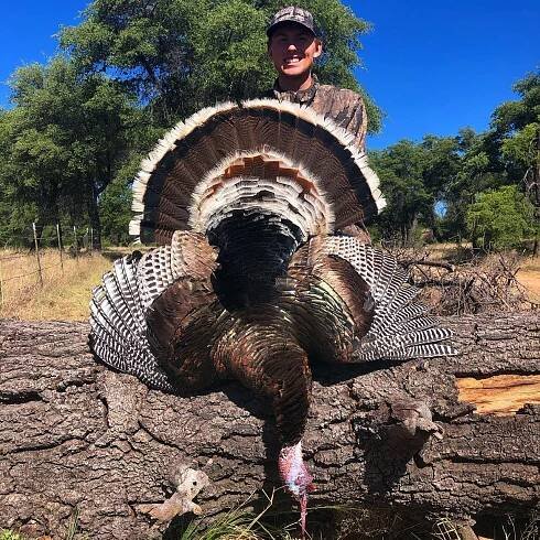 2019 Mexico Gould’s Turkey Hunting Season – Jay Scott Outdoors