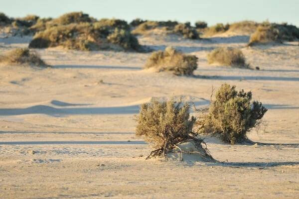 20 Largest Deserts in the World