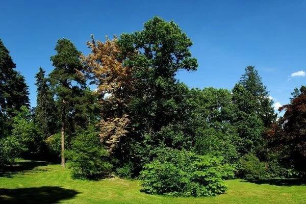 Arboretum Nový Dvůr foto 1