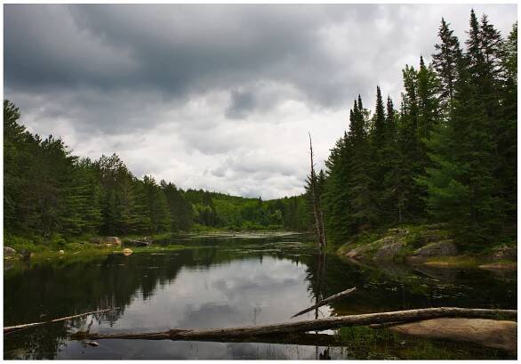 Algonquin Park – Davide Moltisanti .com