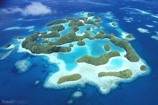 Palau - perla Micronesie - Octopus Divers