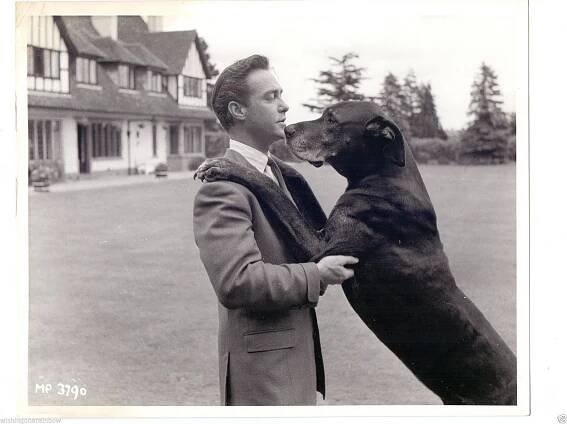 Richard Todd 4