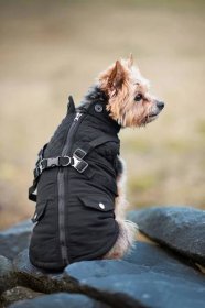 Vsepropejska Tulsi zimní bunda pro psa s postrojem