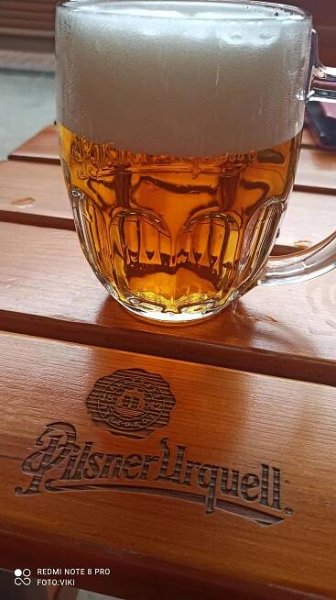 Grilbar Splávek foto 2