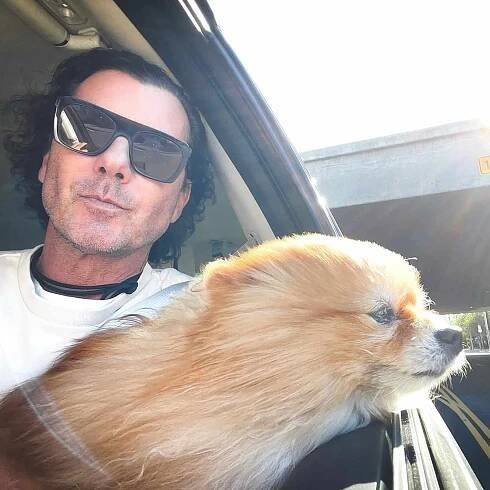 Gavin Rossdale Gets a New Dog 