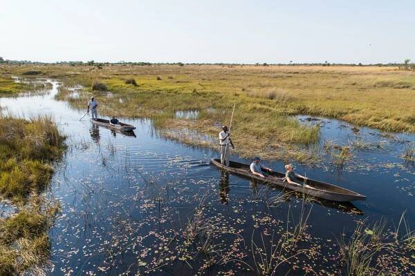 Botswana Honeymoon Safari - Made in Africa Tours & Safaris