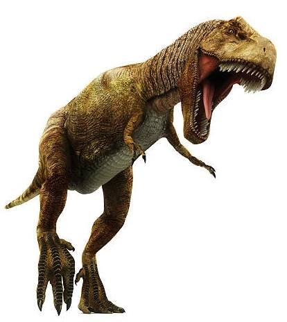 Tyrannosaurus Rex stock fotka