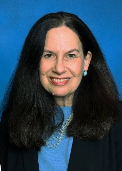 Nancy L. Goldstein - Swartz Campbell