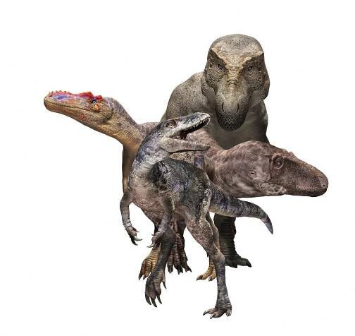 Dragon Prince: Dinosaur fossils found in 1970s are missing link in evolution of T rex